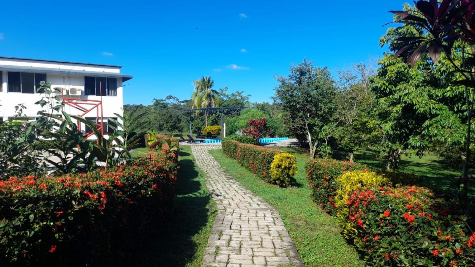 Leones Hotel Palenque